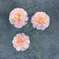 Pink three-head artificial hibiscus flower with gradient petals and green stem - Pink