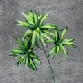 Artificial Dracaena reflexa branch with 3 stems and yellow-green striped foliage - 3-Head / Green Edge
