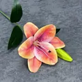 Realistische orange-rosa 3D Lilie mit einer Blüte und einer grünen Knospe für Deko - Sonnenuntergangsrot