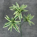 Artificial Dracaena plant with 3-forked yellow-green striped leaves and natural stem - 3-Head / Gold Edge Dark Green