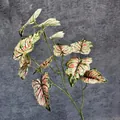 Artificial caladium leaf with creamy white base and vibrant pink spots for home decor - White with Green Veins and Red Spots
