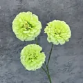 Flor de hibisco artificial con tres cabezas de seda verde claro para decoración hogar - Verde
