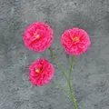 Tallo único con tres cabezas de hibisco rosa de seda para decoración del hogar y bodas - Rosa Roja