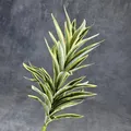 Künstlicher Dracaena-Zweig mit grün-gelb panaschierten Blättern auf dunklem Grund - Goldrandiger Dunkelgrüner Lily Bambus