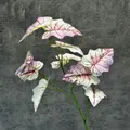 Artificial white and pink Caladium branch with realistic vein details for home decor - White with Pink Veins