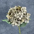 Faux hydrangea stem in vintage dusty green and beige petals with realistic leaves - Dark Gray