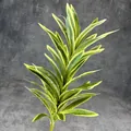 Artificial Dracaena plant with yellow-green variegated leaves for home decor - Golden Edged Light Green Lily Bamboo
