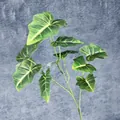 Artificial 3D Alocasia leaf branch with realistic green foliage and yellow veins - Dark Green with Yellow Veins