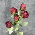 Deep red artificial Milan rose branch with 5 heads and vintage burnt edge finish - Retro Copper