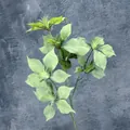 Artificial poinsettia branch with seven light green heads for home wedding decoration - Green