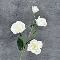 Eleganter weißer Eustoma-Zweig mit drei Blüten und einer Knospe für die Dekoration - 4 Köpfe / Weiß