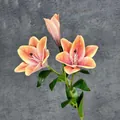 Single 3-head realistic peach faux lily branch with two blooms and one green bud - Orange Red