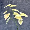 Artificial Syngonium leaf with light yellow and green gradient for home decor - Pale Yellow and Green Gradient