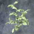 Ramo di foglie di uccello verde artificiale con stelo marrone per decorazioni di nozze - Verde