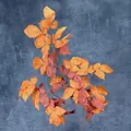 Ramo di foglie autunnali artificiali arancio bruciato e rosso con trama effetto legno - Arancione Scuro