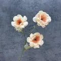 Artificial 3-head gardenia in apricot cream with orange stamens for home decor - Champagne