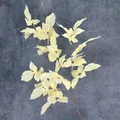 Ramo di foglie di uccello in seta color crema per decorazioni di matrimoni e interni - Champagne