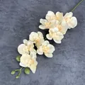 Artificial 9-head French silk phalaenopsis orchid in cream white for home wedding decor - Champagne