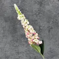Flor de boca de dragón artificial rosa y blanca con hojas verdes sobre fondo gris - Rosa