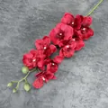 Τεχνητό κλαδί ορχιδέας Phalaenopsis με 9 κεφαλές σε βαθύ κόκκινο για διακόσμηση - Κόκκινο