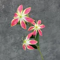 Lis artificiel rose réaliste avec trois têtes florales sur fond gris texturé - Rose