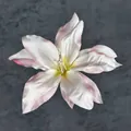 Artificial orchid flower head in pink gradient with realistic silk fabric texture - Artificial Lily Flower Head / 13cm / Pink
