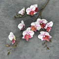 Lifelike 10-head 3D white and pink gradient butterfly orchid flower branch for home decor - White with Purple Center