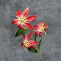 Realistische rode kunstmatige vlamlelie met drie bloemhoofdjes en groene bladeren - Rood