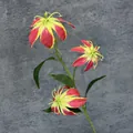 Enkele kunstmatige vlamlelie tak met drie rood-gele zijden bloemhoofdjes voor decoratie - Zonsondergang Rood