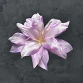 Artificial lilac lily flower head in silk fabric for wedding and hair accessory - Artificial Lily Flower Head / 13cm / Purple