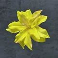 Artificial bright yellow orchid head with layered petals and delicate stamens - Artificial Lily Flower Head / 13cm / Yellow