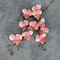 Realistische 10-koppige 3D-vlinderorchidee in magenta-geel kleurverloop met knoppen - Koraal