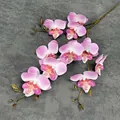 Enkele tak realistische 3D-vlinderorchideeën met roze verloop en verfijnde details - Dieproze