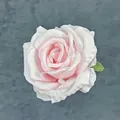 Pink artificial silk rose head with green leaf and realistic soft gradient petals - Pink
