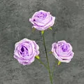 Drie-koppige kunstmatige paarse zijden rozen met realistische stelen voor decoratie - Lichtpaars