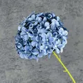 Enkele Morandi blauwe hortensia stengel met dichte bloemblaadjes voor huisdecoratie - Haze Blauw