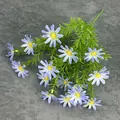 Artificial 15-head daisy bouquet in gradient blue-purple with realistic yellow centers - Blue