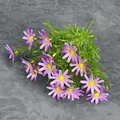 Artificial 15-head purple daisy bouquet with lifelike green foliage for home decor - Purple
