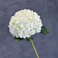 Realistische weiße 3D-gedruckte künstliche Hortensie mit grünen Blättern vor dunklem Grund - Weiß