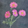 Ramo di cosmo rosa artificiale con quattro fiori realistici su uno sfondo grigio scuro - Rosa Rossa