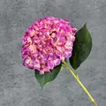 Künstliche Hortensie in Pink-Violett-Verlauf mit grünen Blättern und 3D-Druckeffekt - Purpurrot