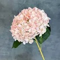 Einzelne 3D-Druck-Hortensie in Rosa mit 216 Blütenblättern und grünen Blättern - Rosa