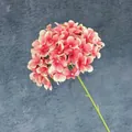 Enkele kunstmatige koraalroze hortensia met een lange groene steel op donkergrijze basis - Granaatrood