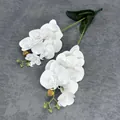 Two stems of lifelike white artificial Phalaenopsis orchids with green leaves - White