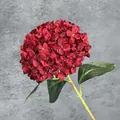 Ortensia artificiale stampata in 3D rosso bordeaux per decorazioni floreali di nozze - Rosso