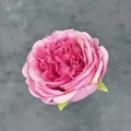 Künstlicher Pfingstrosenkopf in Rosa und Rosé für die Hochzeitsdekoration - Fuchsie