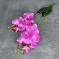 Faux Phalaenopsis orchid in magenta pink with white stripes and realistic green stem - Flower Purple