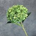 Ortensia realistica stampata in 3D verde chiaro per decorazione di nozze e casa - Verde