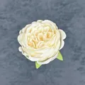 Künstlicher Pfingstrosen-Rosenblütenkopf in Creme mit Blättern für die Deko - Champagner
