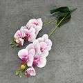 Pink and white gradient artificial phalaenopsis orchid stems with realistic flower buds - Purple Center